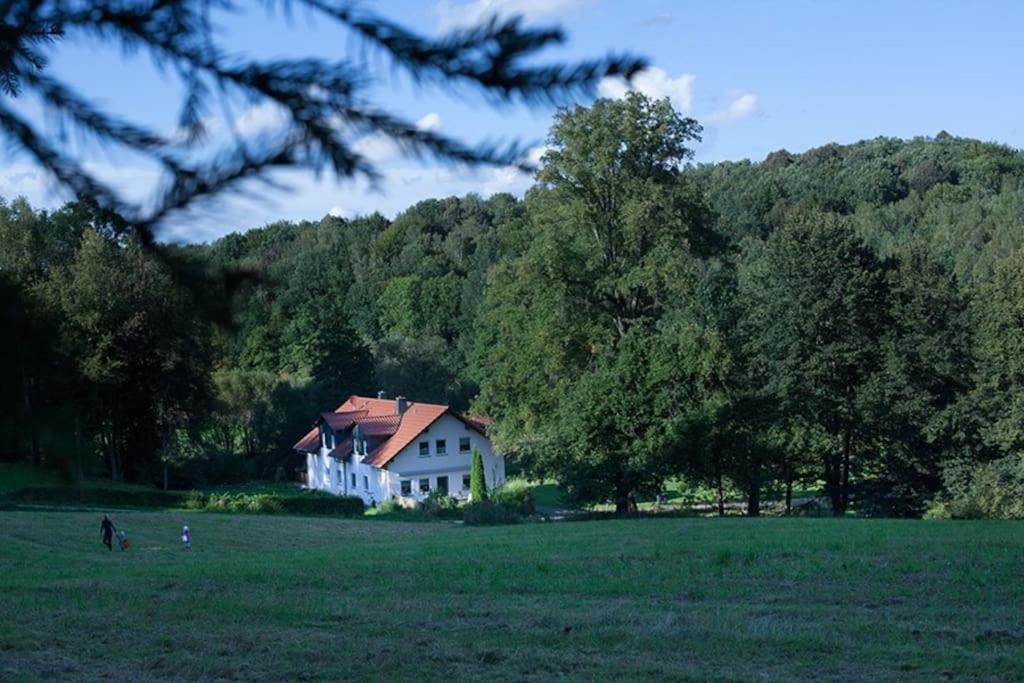 Wald-Apartment Limabach - Oberfrohna Dış mekan fotoğraf