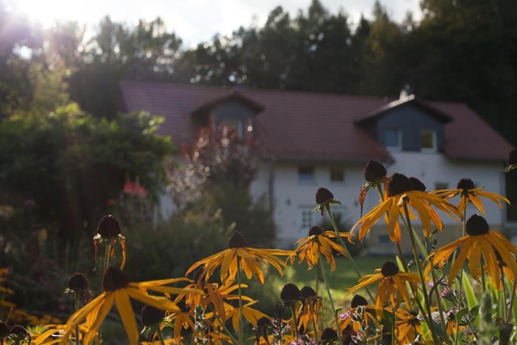 Wald-Apartment Limabach - Oberfrohna Dış mekan fotoğraf