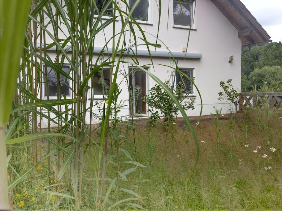 Wald-Apartment Limabach - Oberfrohna Dış mekan fotoğraf
