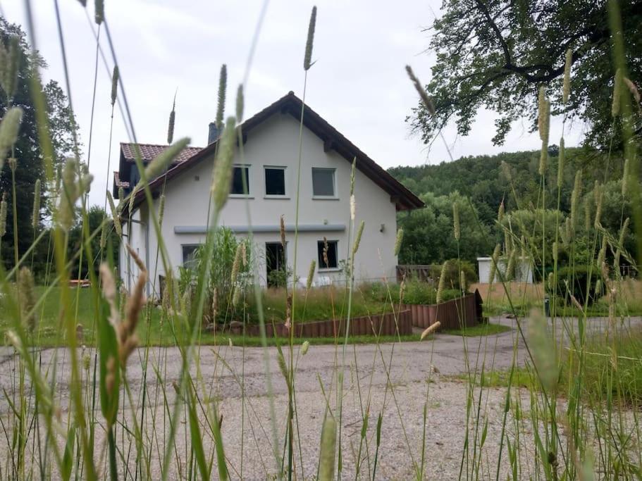 Wald-Apartment Limabach - Oberfrohna Dış mekan fotoğraf